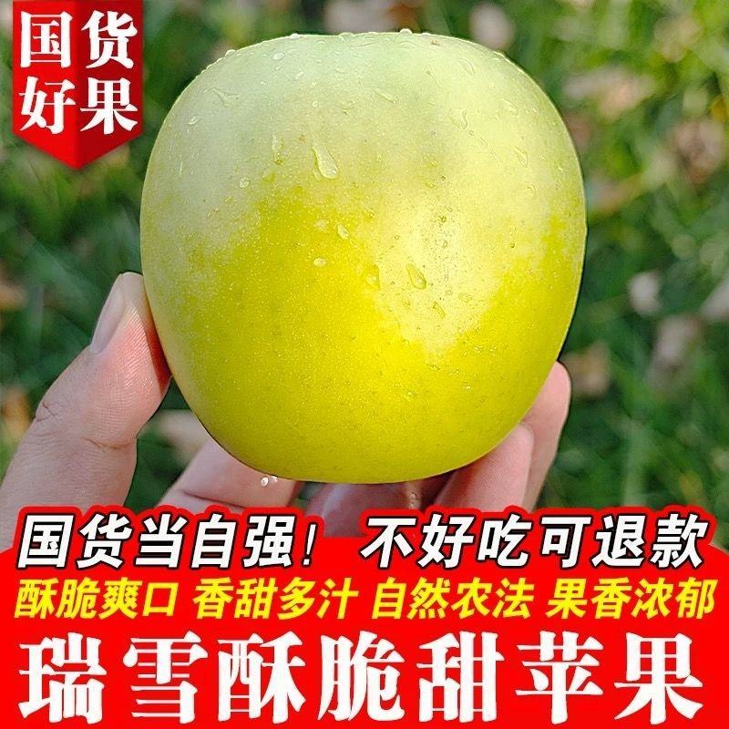 辽宁绥中瑞雪苹果，口感好，果型正，基地直发对接全国