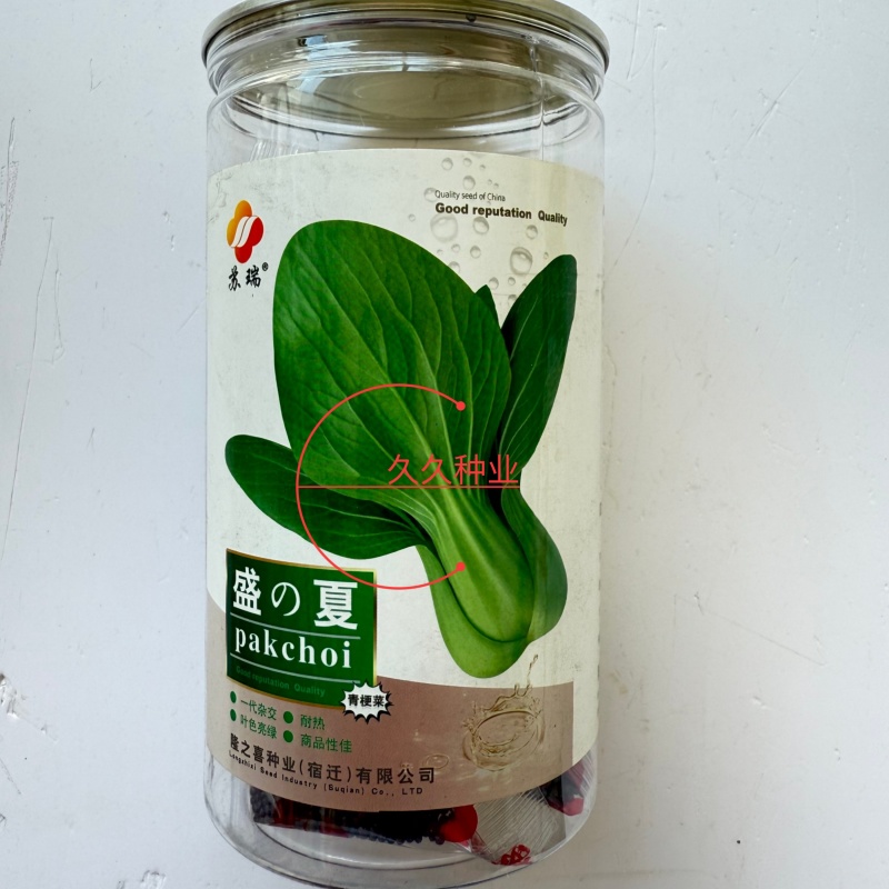盛夏青梗菜种子耐湿耐热小油菜上海青种子农家小白菜青菜蔬菜