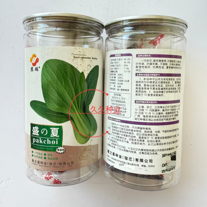 盛夏青梗菜种子耐湿耐热小油菜上海青种子农家小白菜青菜蔬菜