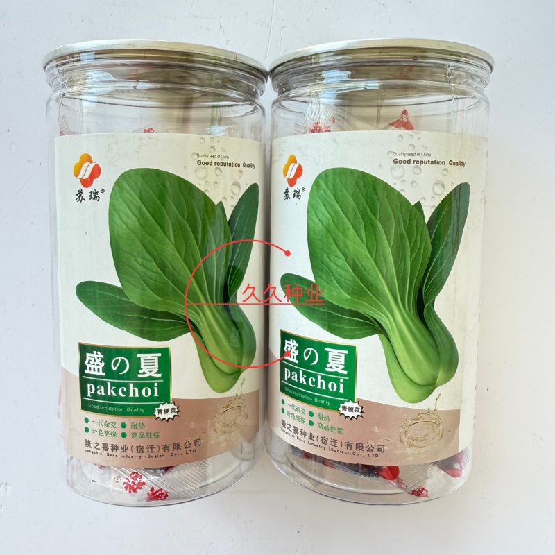 盛夏青梗菜种子耐湿耐热小油菜上海青种子农家小白菜青菜蔬菜
