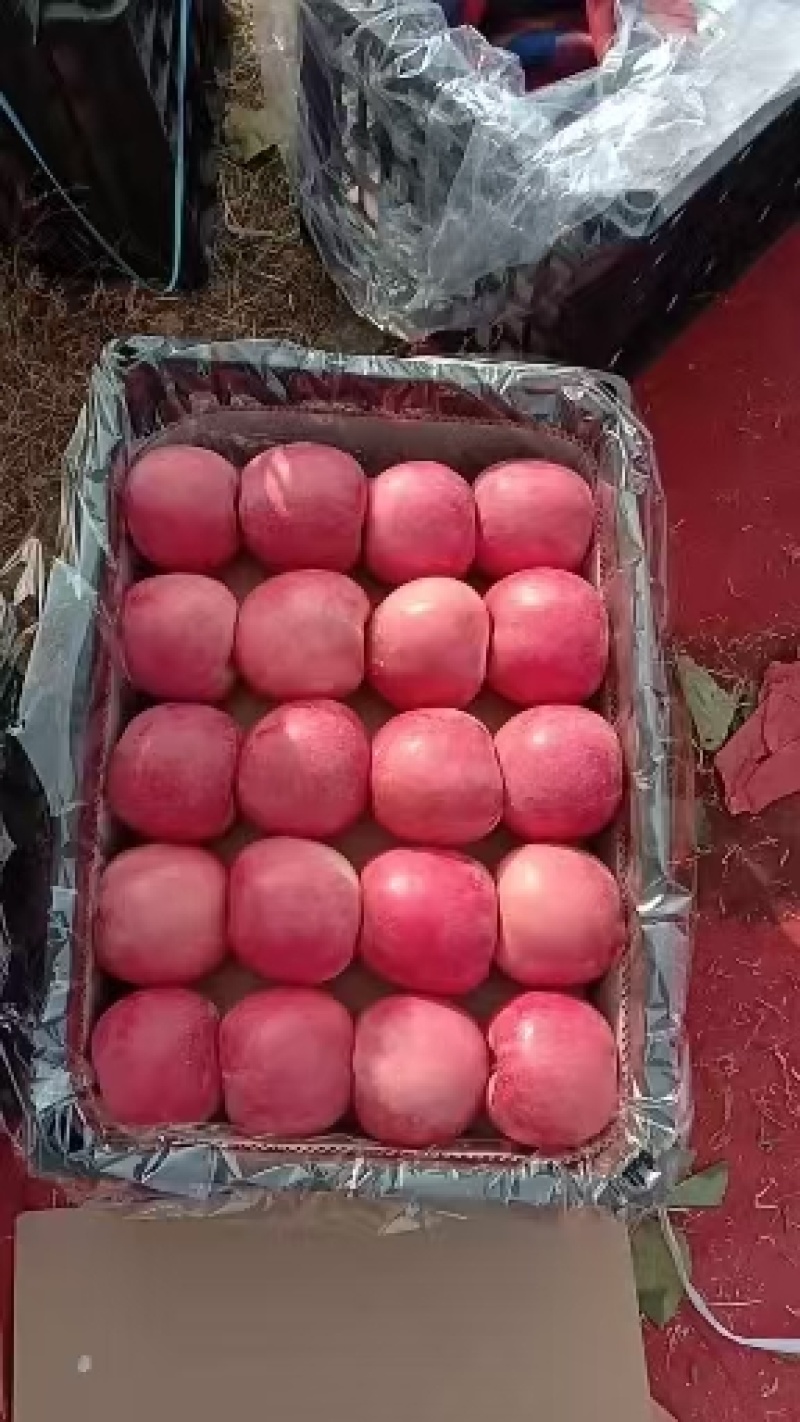 岳阳红苹果，绥中有大量现货，需要的老板联系