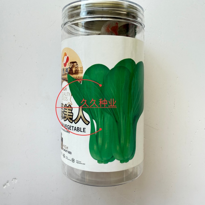 苏瑞绿美人青梗菜种子一代杂交耐热耐湿耐雨叶柄扁肥厚高产