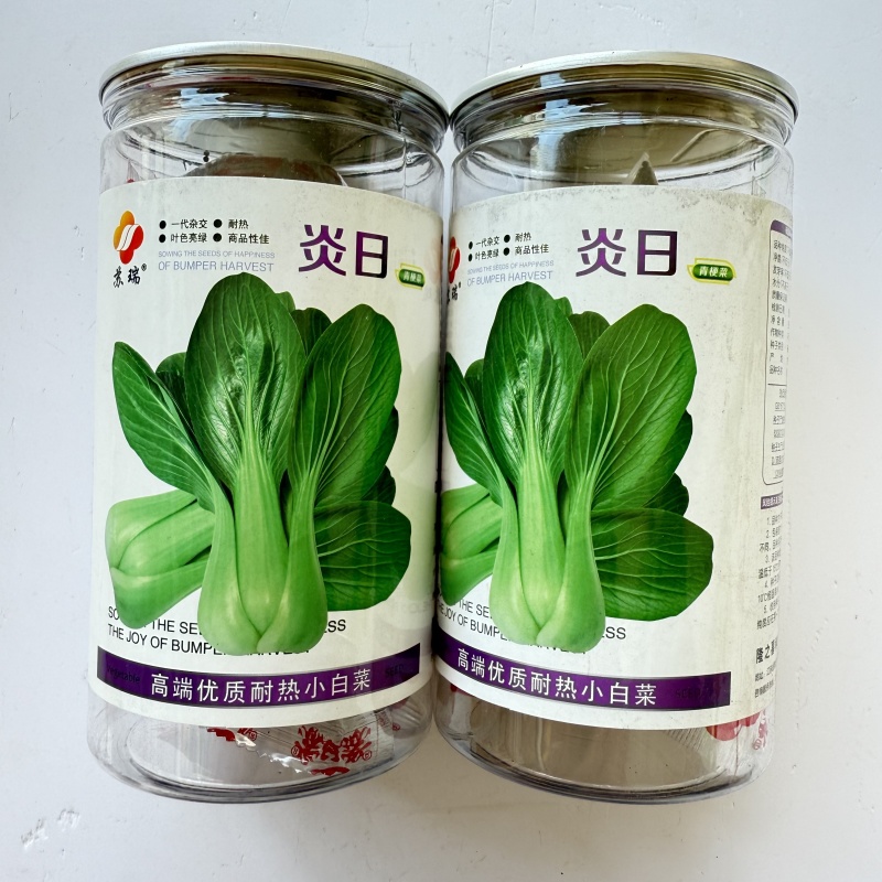 炎日青梗菜种子较耐热青菜种籽耐湿耐雨耐寒四季播
