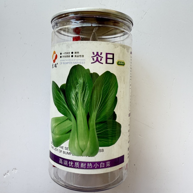 炎日青梗菜种子较耐热青菜种籽耐湿耐雨耐寒四季播