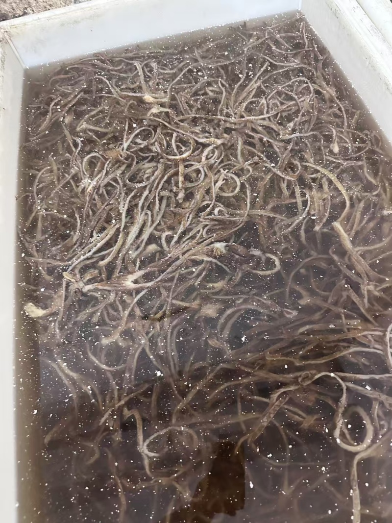 底板丝，好品质，好食材看到，底板丝，好品质，好食材看到，
