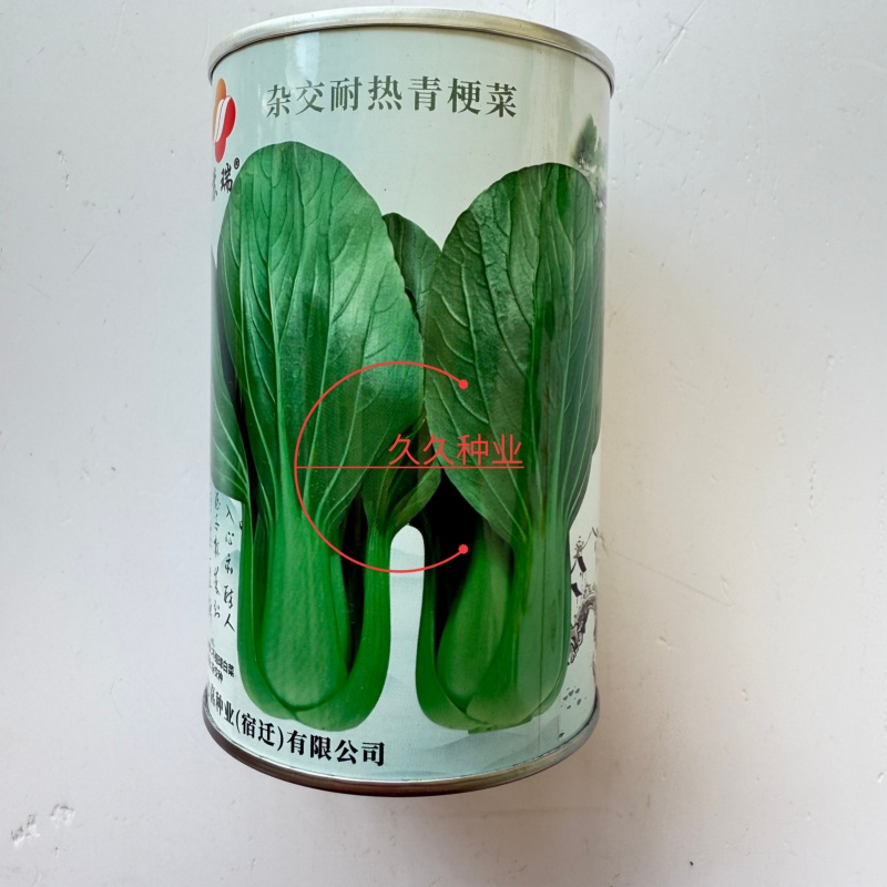 夏圆青耐热青梗菜种子杂交耐热深绿油亮青梗菜抗病耐雨水