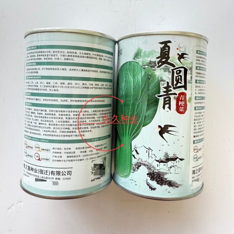 夏圆青耐热青梗菜种子杂交耐热深绿油亮青梗菜抗病耐雨水