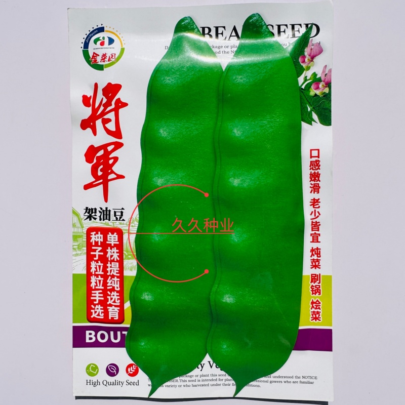 将军架油豆种子口感滑嫩大宽油豆角春秋种植基地种植