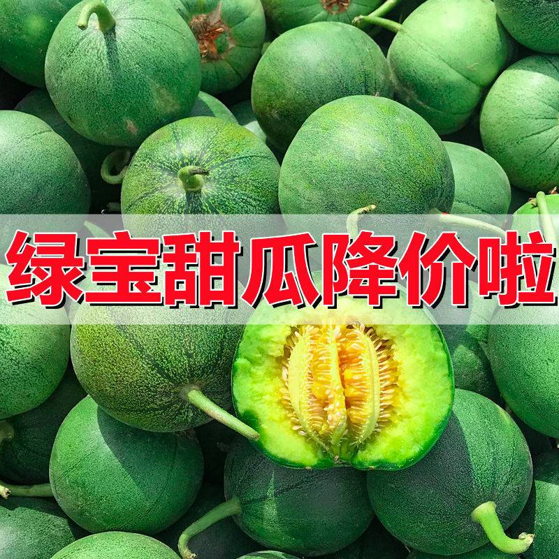 头茬绿宝甜瓜/单县甜瓜/产地现货供应/商超～批发～团购