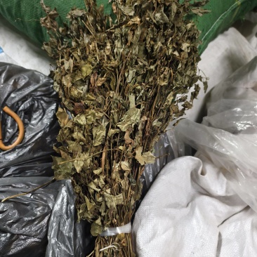 鱼腥草，销量****