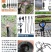滴灌配件压力补偿式滴头滴箭流量可调节八孔涡旋滴头地插微喷
