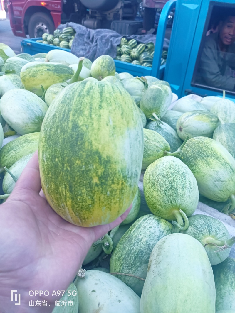 甜如蜜产地山东省临沂市费县一个在一斤，绿皮白肉口感翠甜