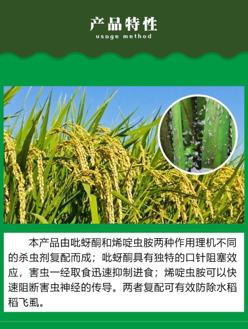 威远烛龙80%烯啶吡蚜酮烯啶虫胺吡蚜酮水稻稻飞虱农药正