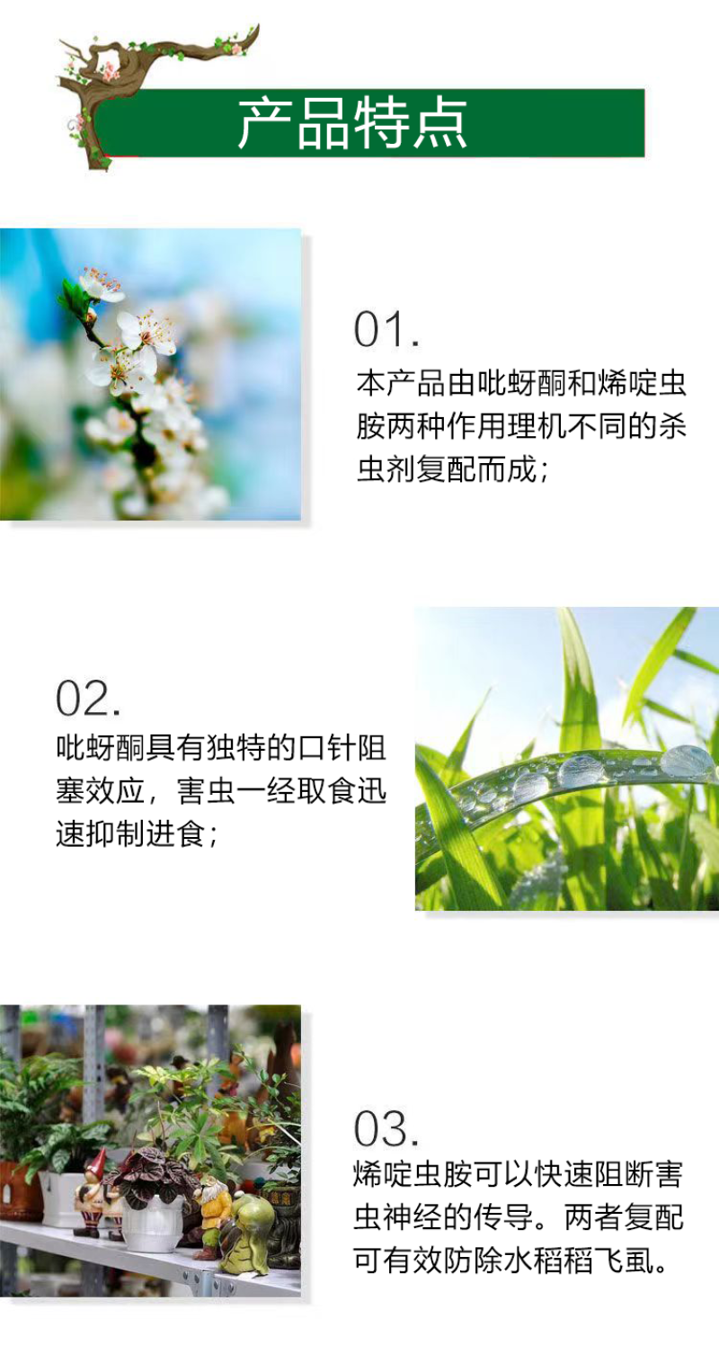 威远烛龙80%烯啶吡蚜酮烯啶虫胺吡蚜酮水稻稻飞虱农药正