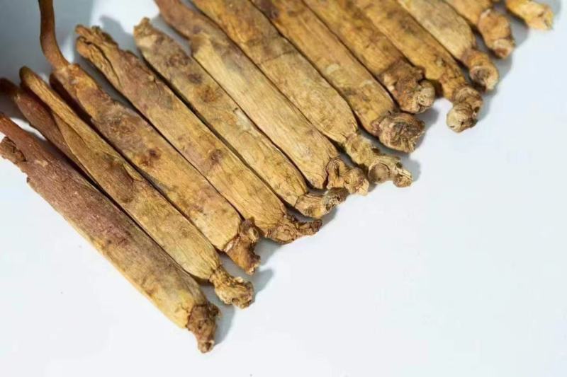 黄码褂红参，原产地发货，空调细选，质量**，大量供货