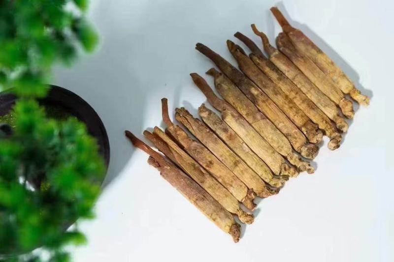 黄码褂红参，原产地发货，空调细选，质量**，大量供货