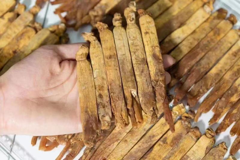 黄码褂红参，原产地发货，空调细选，质量**，大量供货