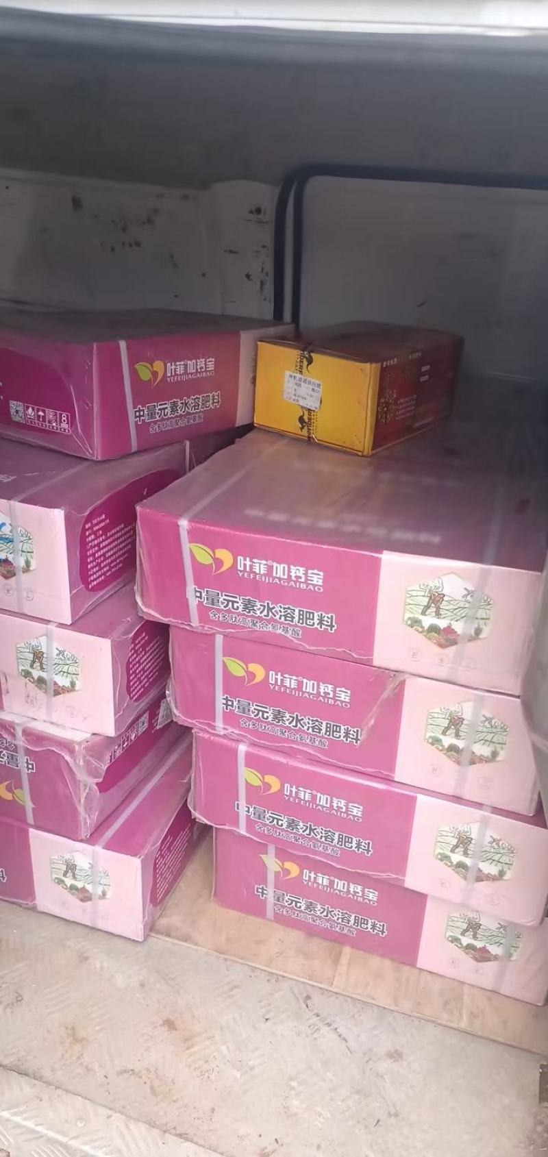 加钙宝防空心果软果脐腐病，补中量元素补钙全水溶