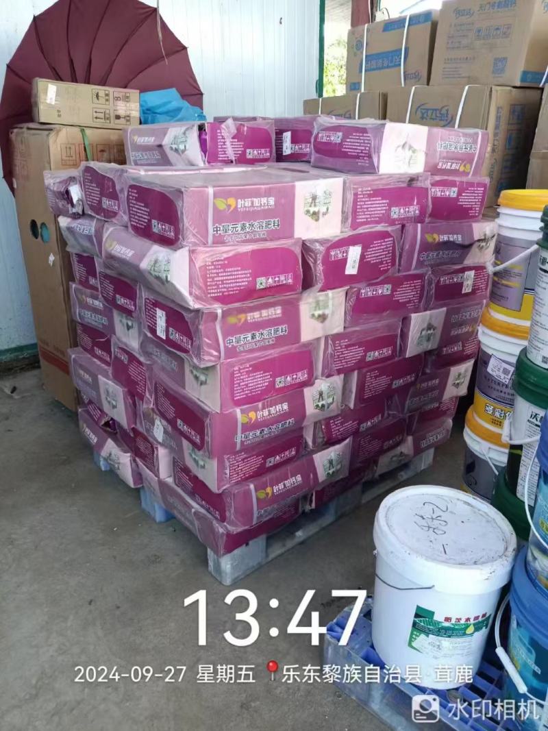 加钙宝防空心果软果脐腐病，补中量元素补钙全水溶