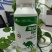 菲旺叶快速绿叶叶片肥厚浓绿，缓解药害促进植株健壮