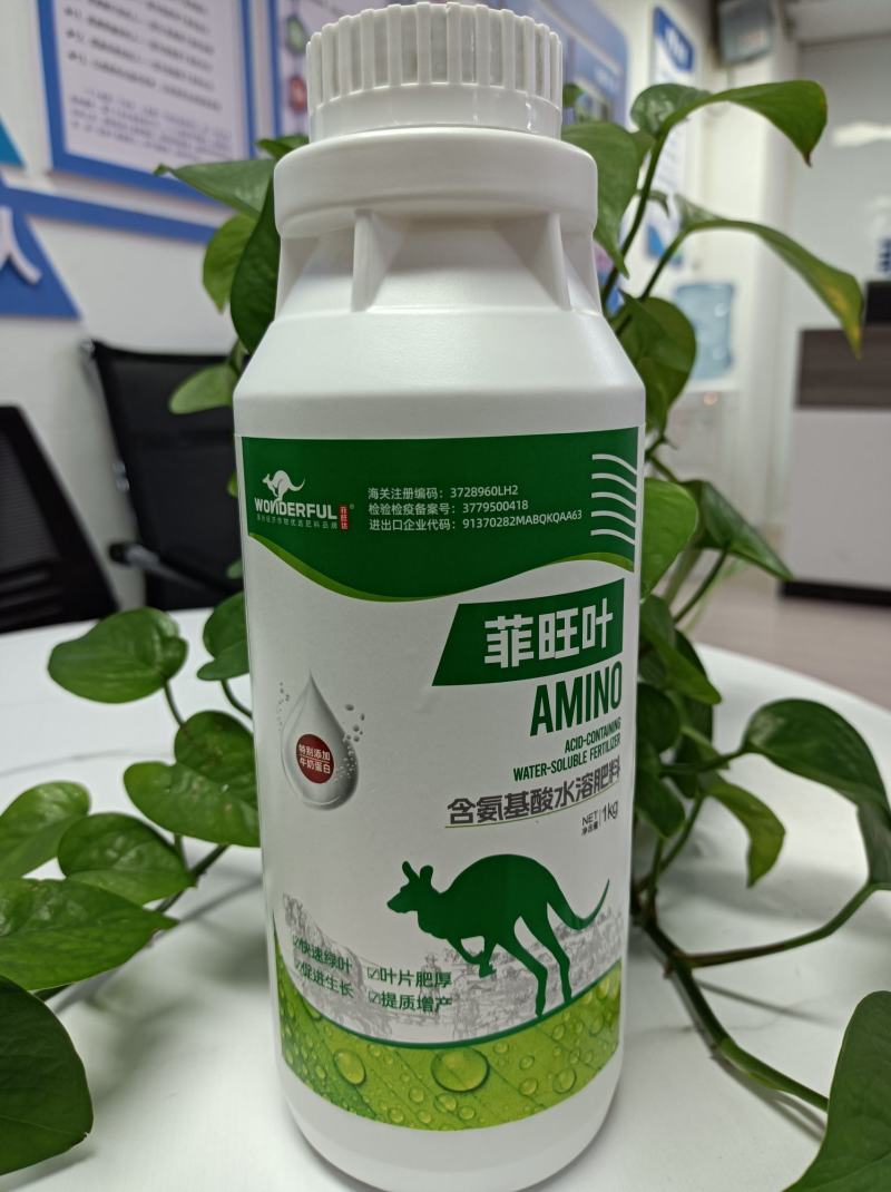 菲旺叶快速绿叶叶片肥厚浓绿，缓解药害促进植株健壮
