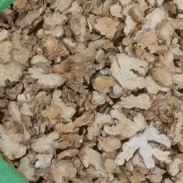 山东菏泽一手货源苍术品质好价格优对接全国市场欢迎采购