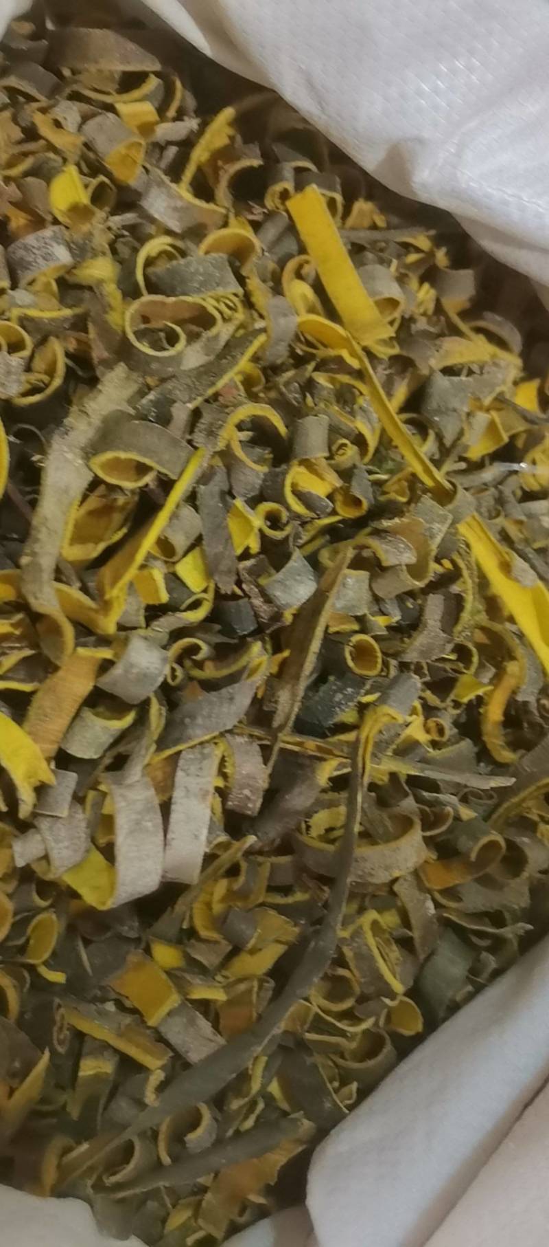 山东菏泽一手货源黄柏