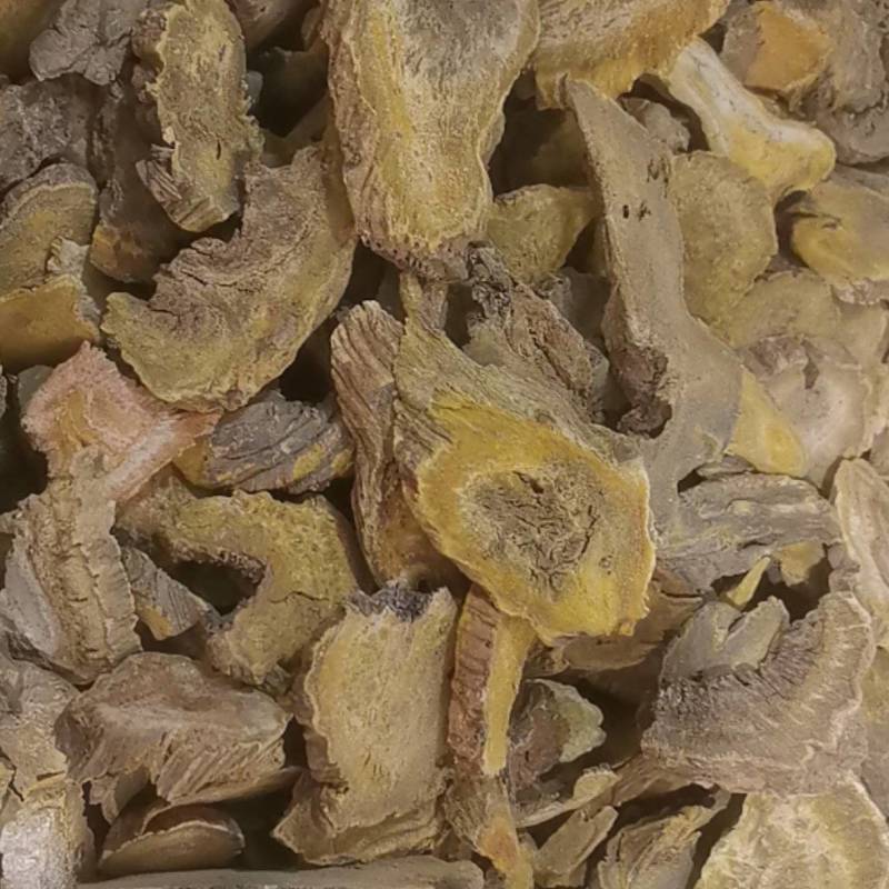 山东菏泽一手货源大黄质量好价格优对接全国市场欢迎购买