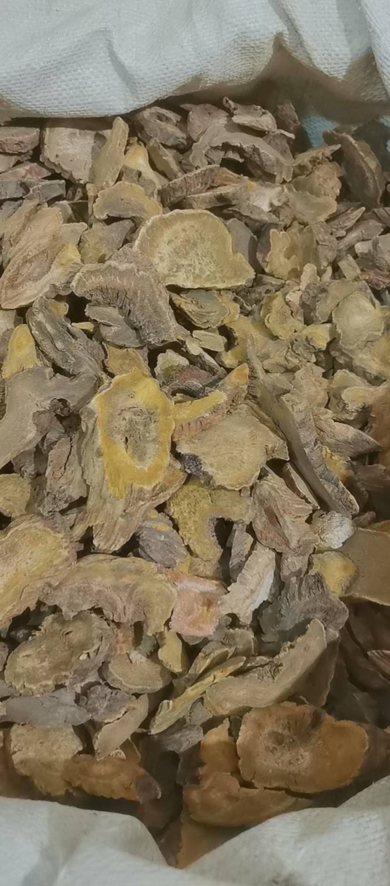 山东菏泽一手货源大黄质量好价格优对接全国市场欢迎购买