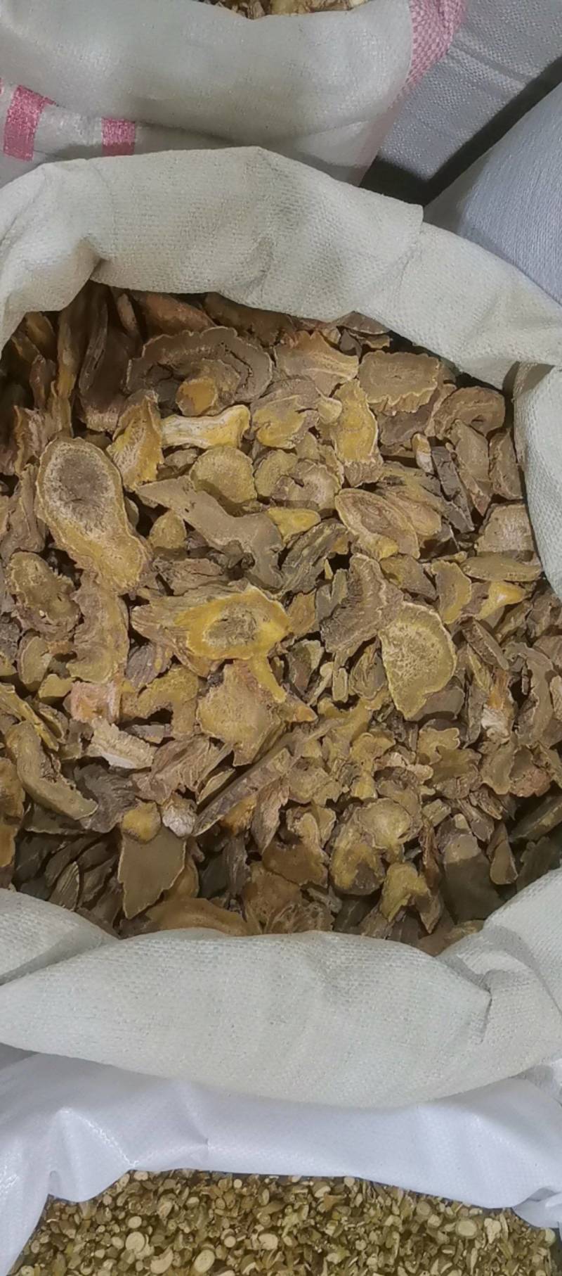 山东菏泽一手货源大黄质量好价格优对接全国市场欢迎购买