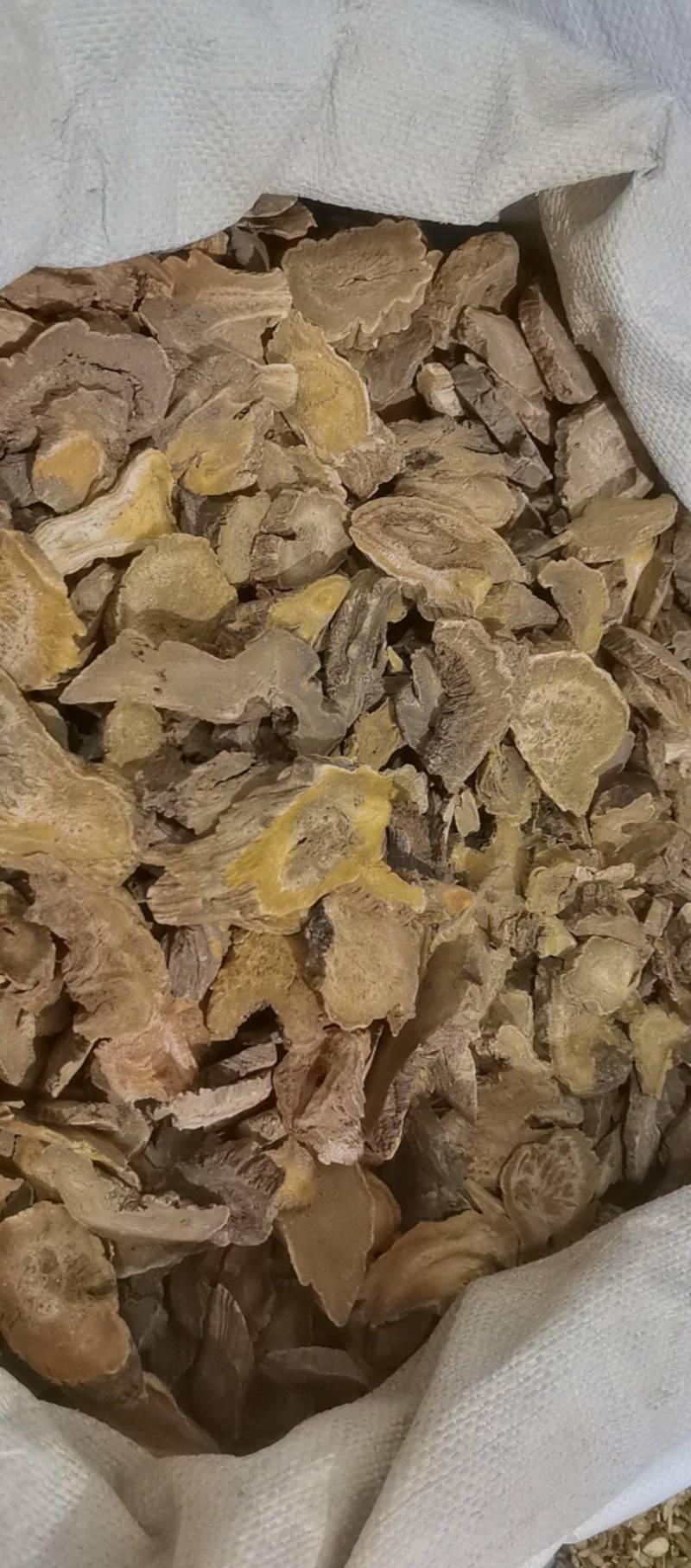 山东菏泽一手货源大黄质量好价格优对接全国市场欢迎购买