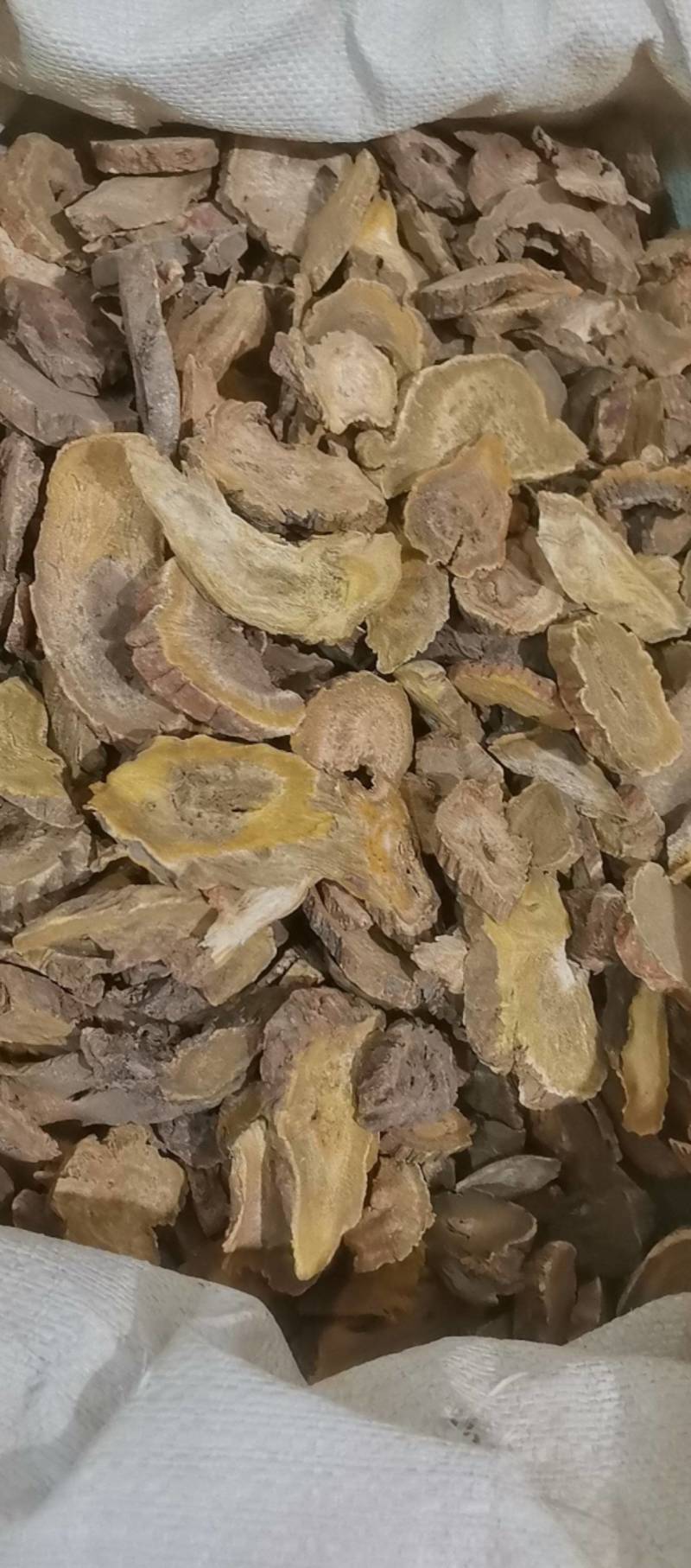 山东菏泽一手货源大黄质量好价格优对接全国市场欢迎购买
