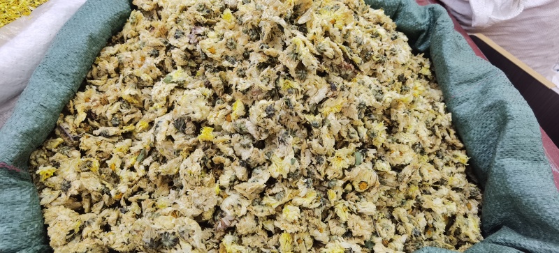批发杭白菊优质杭白菊规格齐全可供实体店量大价优