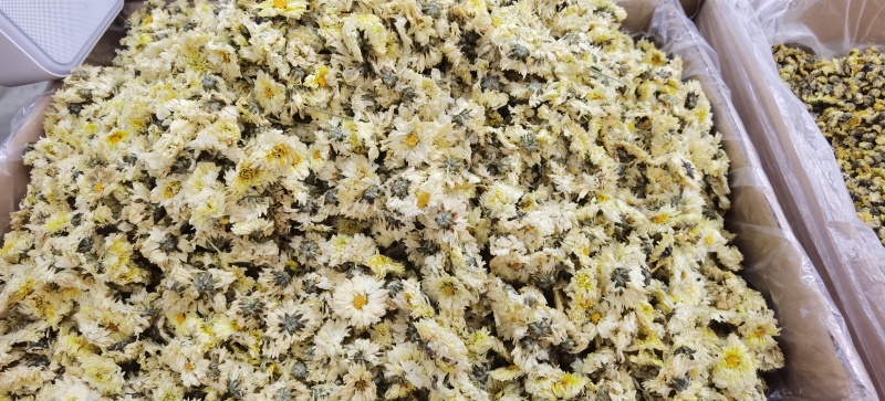 批发杭白菊优质杭白菊规格齐全可供实体店量大价优
