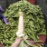 花糯米，支持市场，支持电商，广西广东货源充足。
