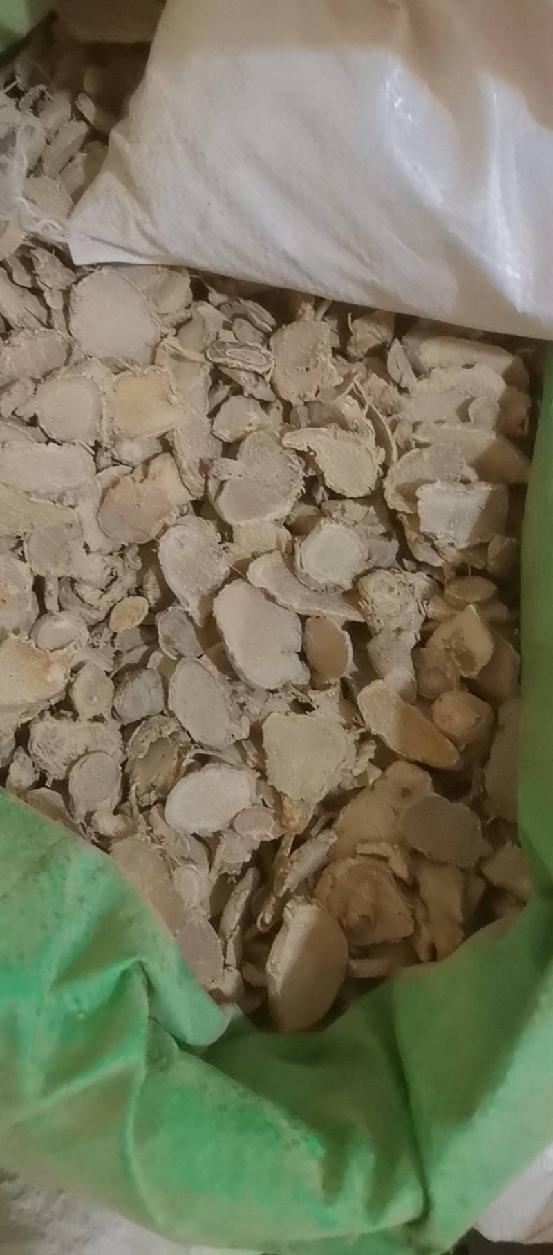 山东菏泽一手货源文竹品质好价格优对接全国市场欢迎采购