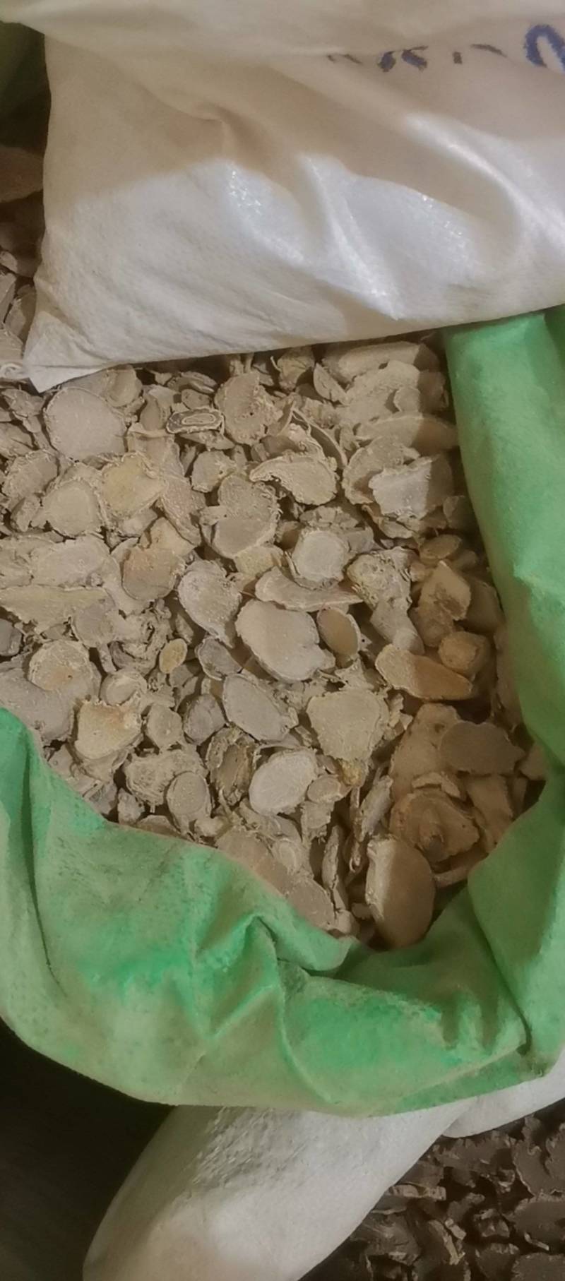 山东菏泽一手货源文竹品质好价格优对接全国市场欢迎采购