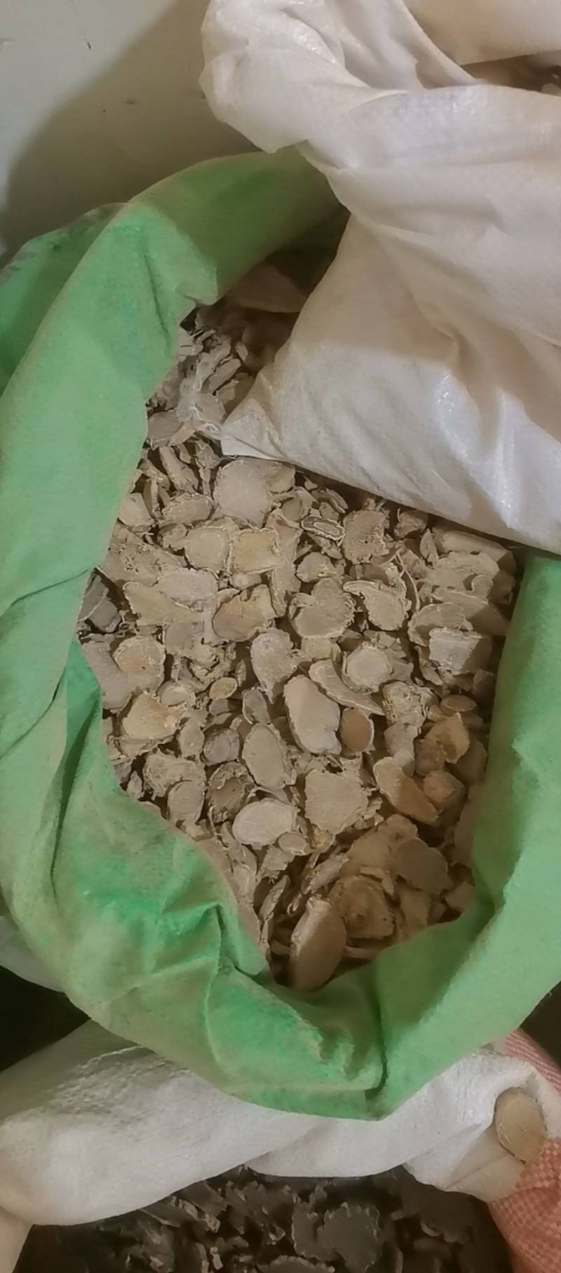山东菏泽一手货源文竹品质好价格优对接全国市场欢迎采购