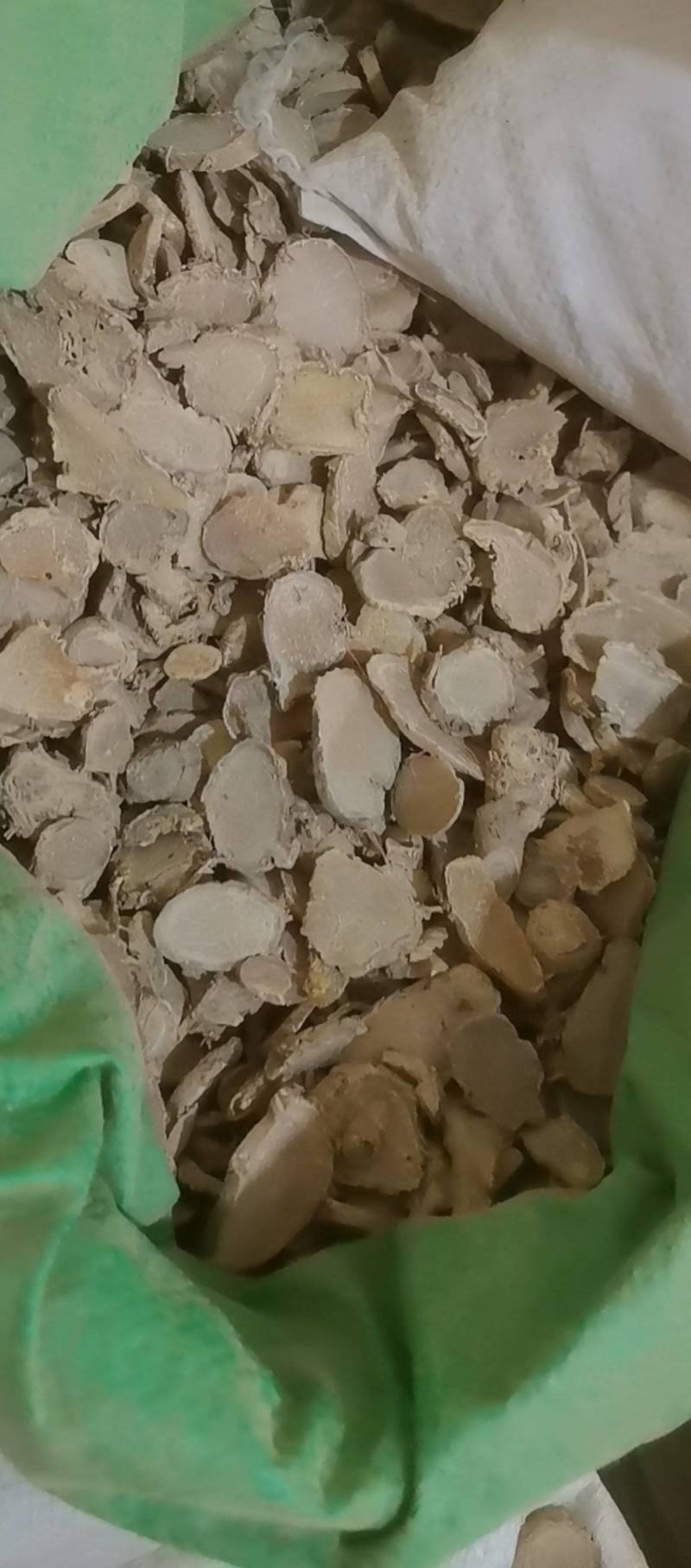 山东菏泽一手货源文竹品质好价格优对接全国市场欢迎采购