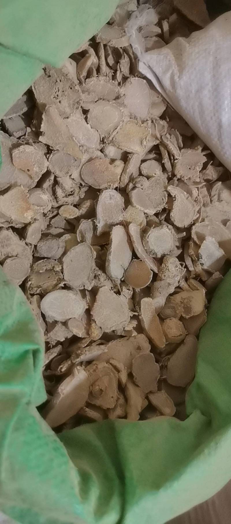 山东菏泽一手货源文竹品质好价格优对接全国市场欢迎采购