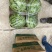 8424西瓜精品美都头茬货源江苏东台支持商超一手货源