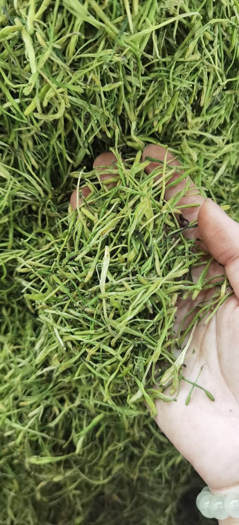 山银花批发优质山银花规格齐全可供实体店量大价优