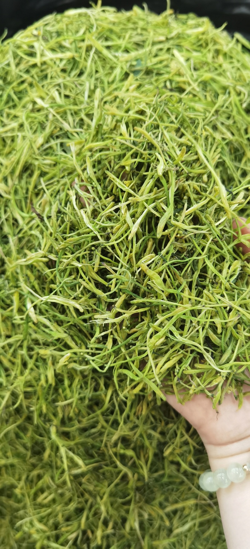 山银花批发优质山银花规格齐全可供实体店量大价优