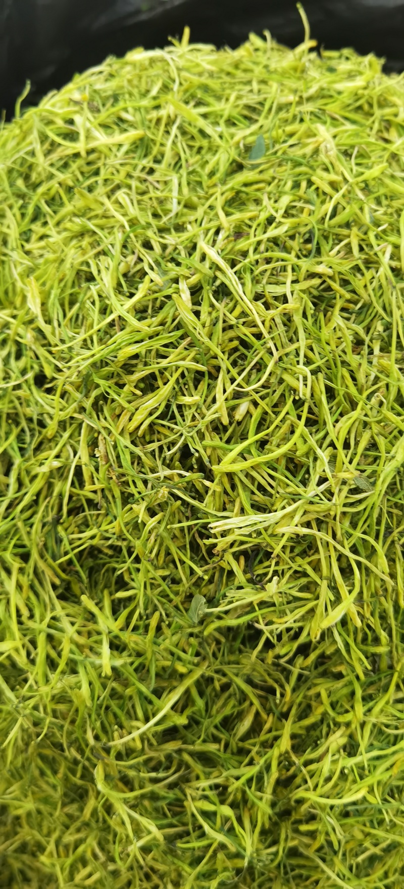 山银花批发优质山银花规格齐全可供实体店量大价优