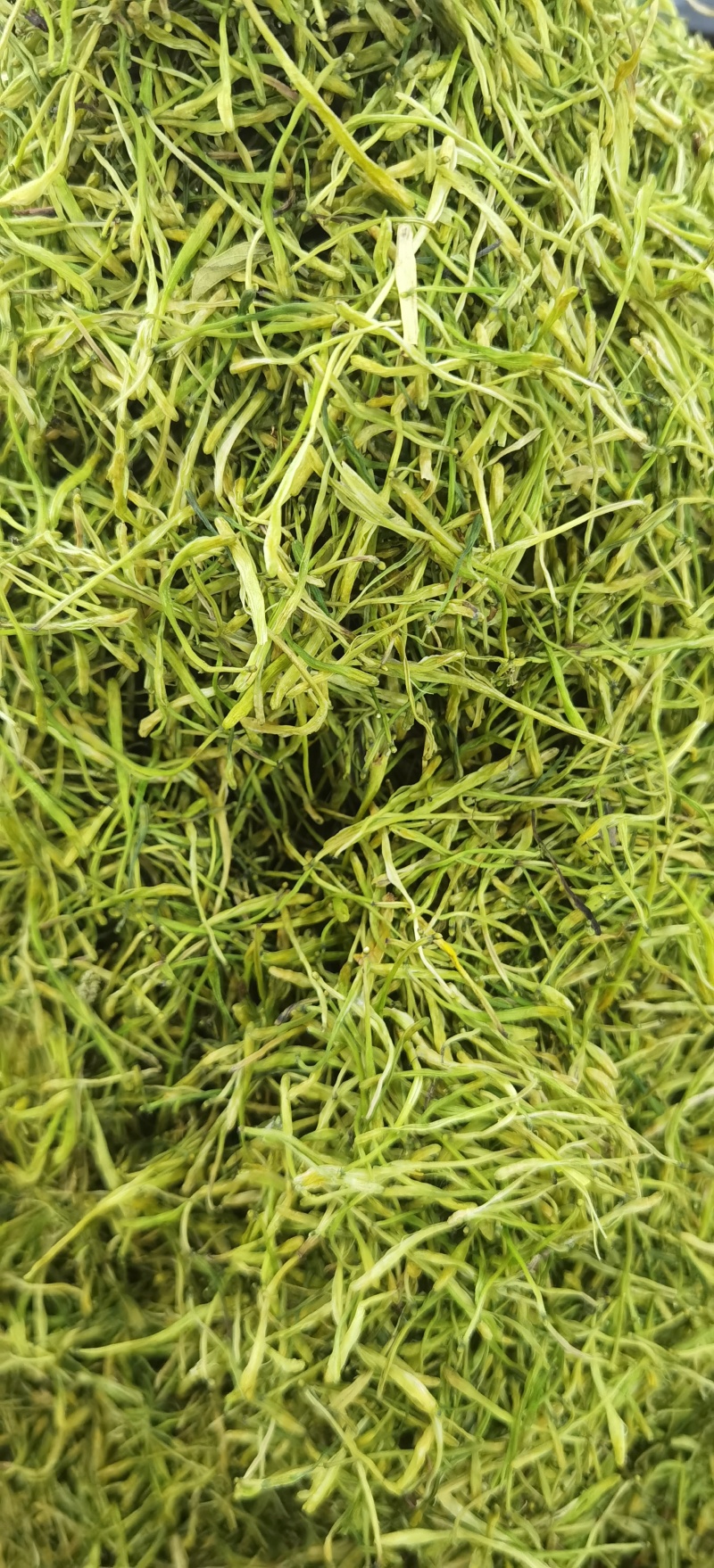 山银花批发优质山银花规格齐全可供实体店量大价优