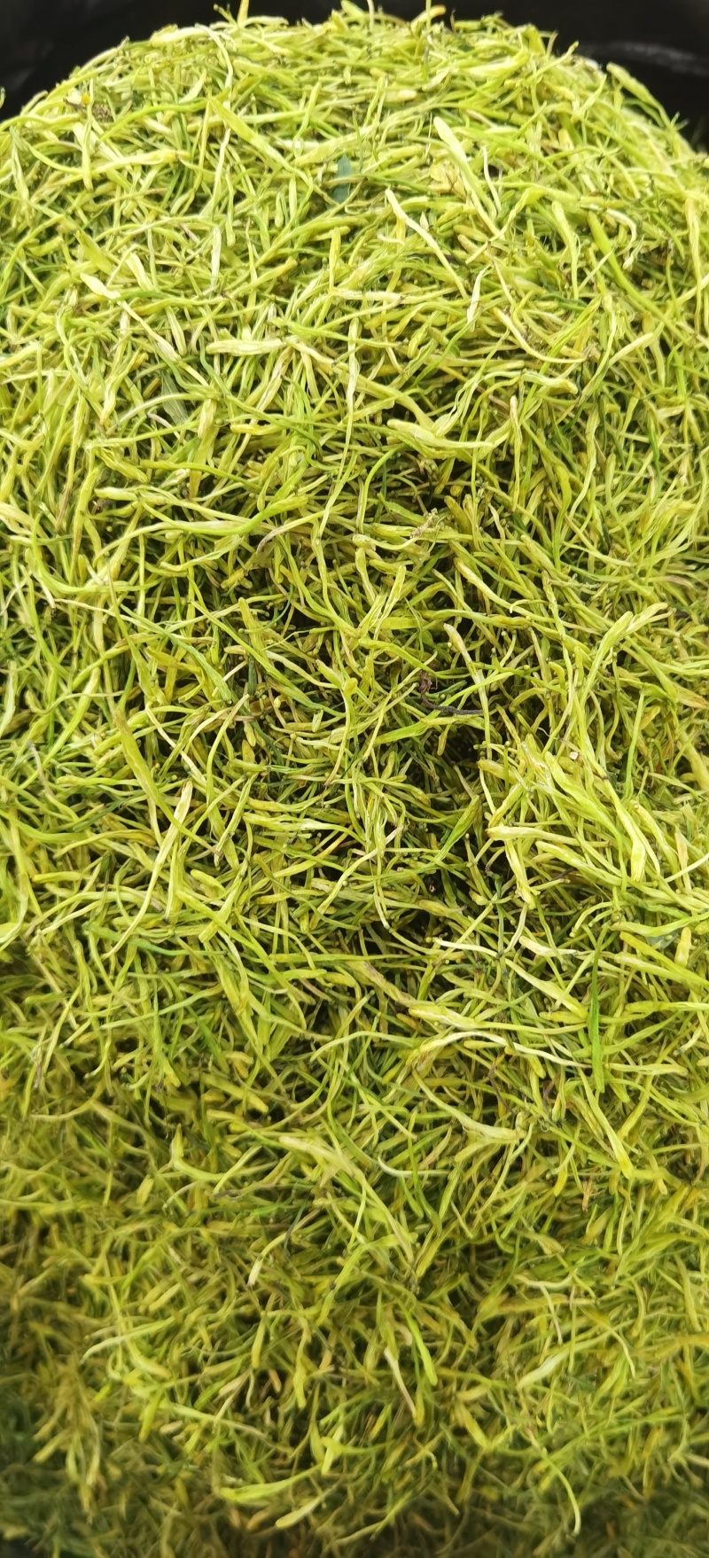 山银花批发优质山银花规格齐全可供实体店量大价优
