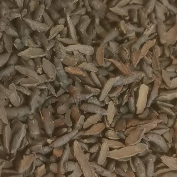 山东菏泽一手货源醋香附片品质好价格优对接全国市场欢迎采购