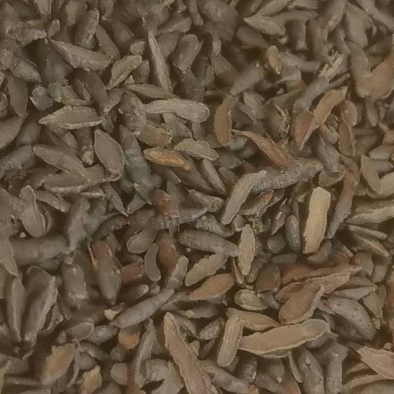 山东菏泽一手货源醋香附片品质好价格优对接全国市场欢迎采购