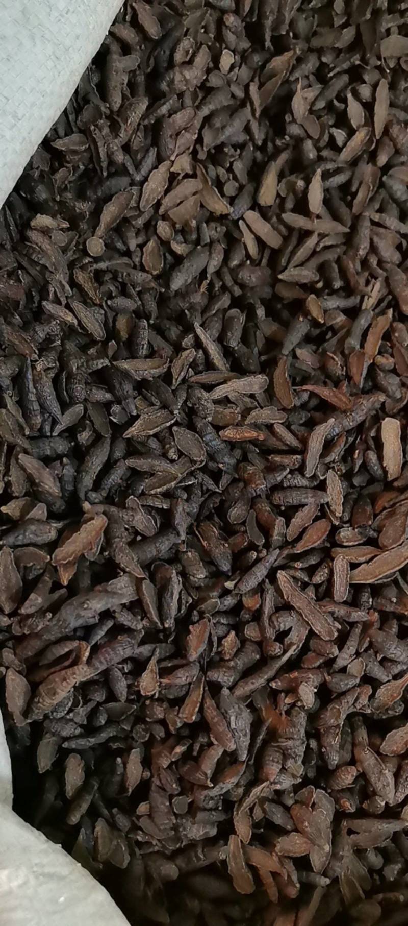 山东菏泽一手货源醋香附片品质好价格优对接全国市场欢迎采购