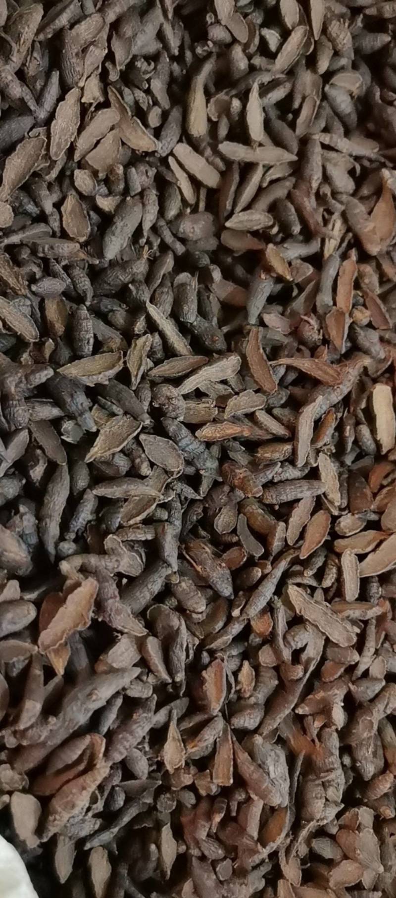 山东菏泽一手货源醋香附片品质好价格优对接全国市场欢迎采购